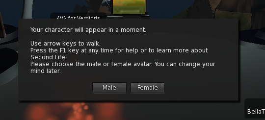 Choosing Your Gender in SLV/FSV